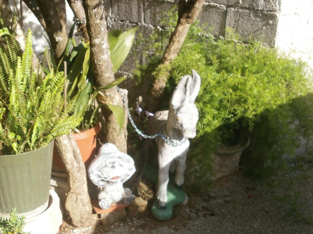 Međugorje Villa Ana מראה חיצוני תמונה