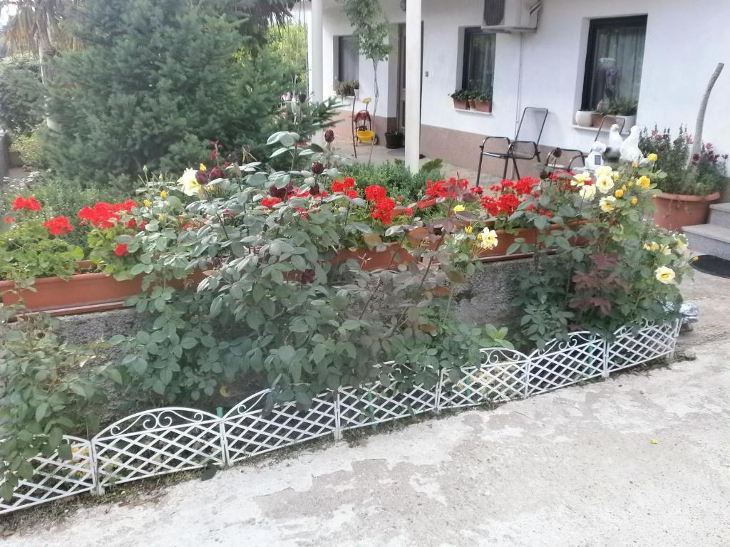 Međugorje Villa Ana מראה חיצוני תמונה